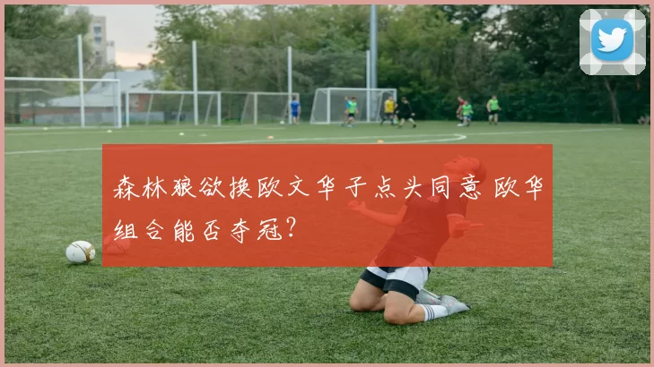 森林狼欲换欧文华子点头同意 欧华组合能否夺冠？