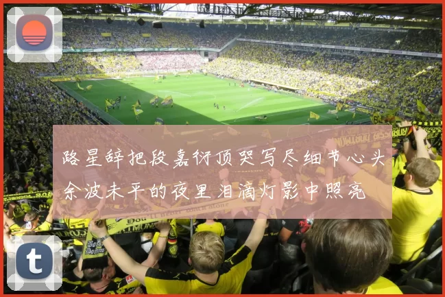 路星辞把段嘉衍顶哭写尽细节心头余波未平的夜里泪滴灯影中照亮