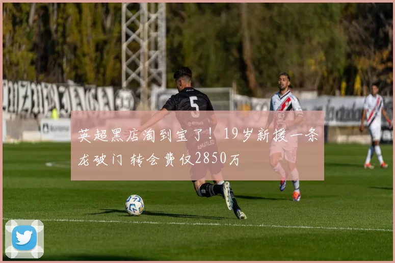 英超黑店淘到宝了!19岁新援一条龙破门 转会费仅2850万