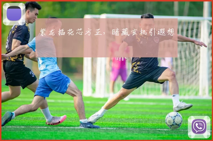 紫龙插花芯方正，暗藏玄机引遐想