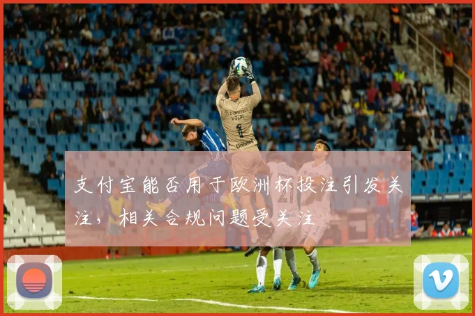 支付宝能否用于欧洲杯投注引发关注,相关合规问题受关注