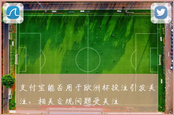支付宝能否用于欧洲杯投注引发关注,相关合规问题受关注